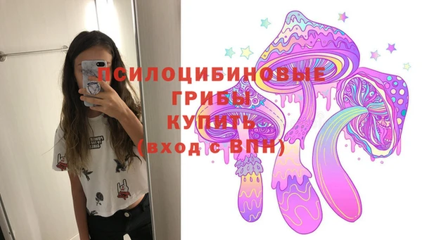 мяу мяу мука Аркадак