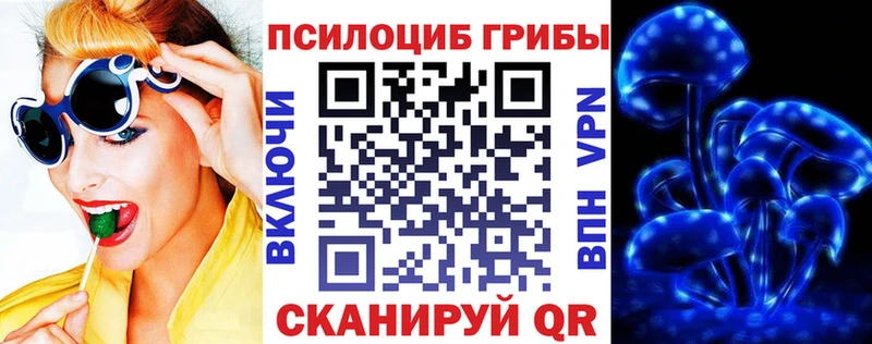 цена   Сычёвка  Псилоцибиновые грибы мухоморы 